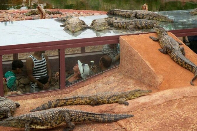 Crocoparc Trip from Agadir - Small group size and the pace you’ll probably enjoy