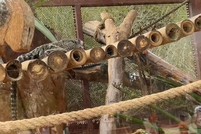 Crocoparc Trip from Agadir - Entering the park: how the timing and free time really work