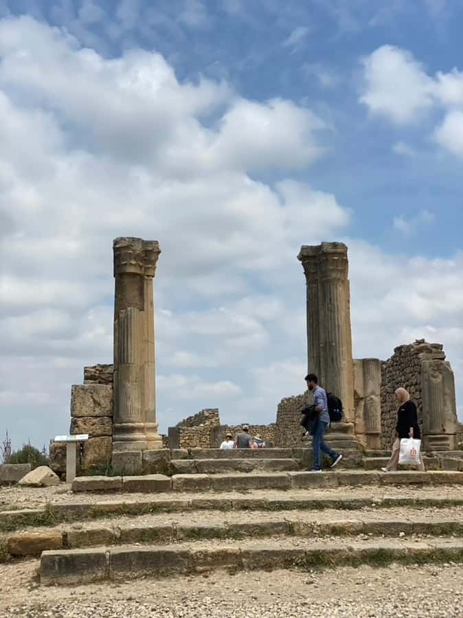 Cultural Day Trip meknes Volubilis in a Small Group OF 8 - How the driver and small group shape the experience