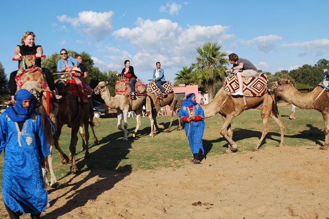 Daily walks at sunset with "barbecue - couscous" dinner - On the Camel Through Souss River, Eucalyptus, and Palace Views
