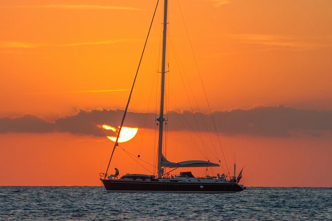 Dakhla Catamaran Tour - Wildlife chances: dolphins and flamingos depend on conditions