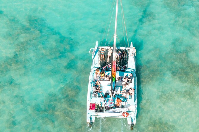 Dakhla Catamaran Tour - Stop at Dragon Island: the real reason this tour works