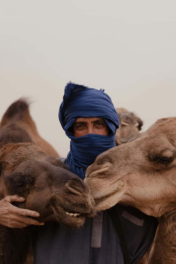 Dakhla White Dune Tour 4x4 - What the 4x4 dune bashing is really like