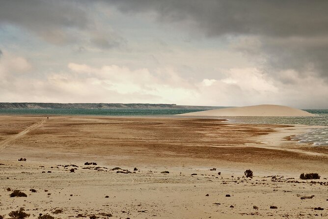 Dakhla White Dune Tour - What to bring and how to have an easier day
