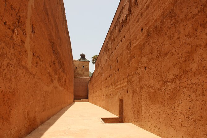 Dani’s Authentic Medina Walking Tour - Through the Souks: Shopping Guidance That Saves You Real Energy