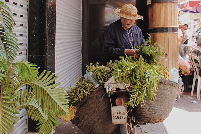 Dani’s Authentic Medina Walking Tour - Who This Dani’s Medina Walk Fits Best (and Who Might Want Something Else)