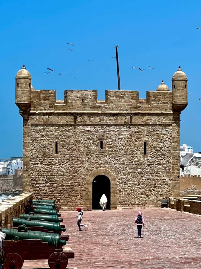 Day Excursion From Marrakech to Essaouira City - Key Highlights at a Glance