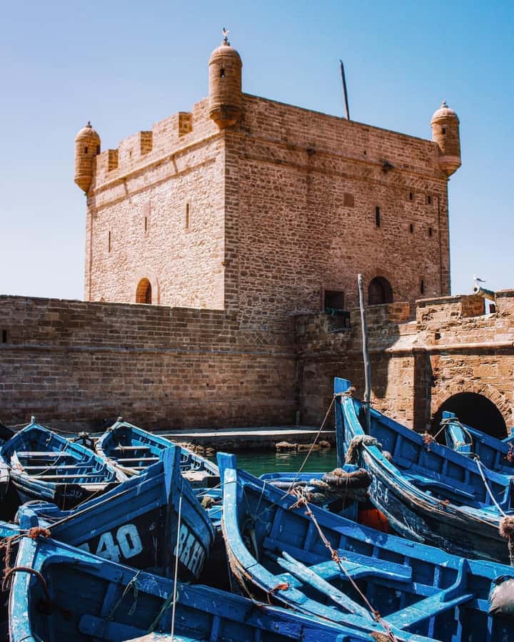 Day Excursion From Marrakech to Essaouira City - Argan Oil Cooperative: Real Work Behind the Product