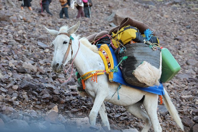 Day Excursion in the Atlas mountains - Waterfalls and the small-group rhythm that keeps it enjoyable