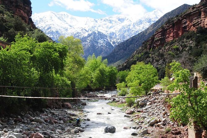 Day Excursion to Atlas Mountains from Marrakech - Price and Value: Is $81.30 Worth a 6-Hour Escape?