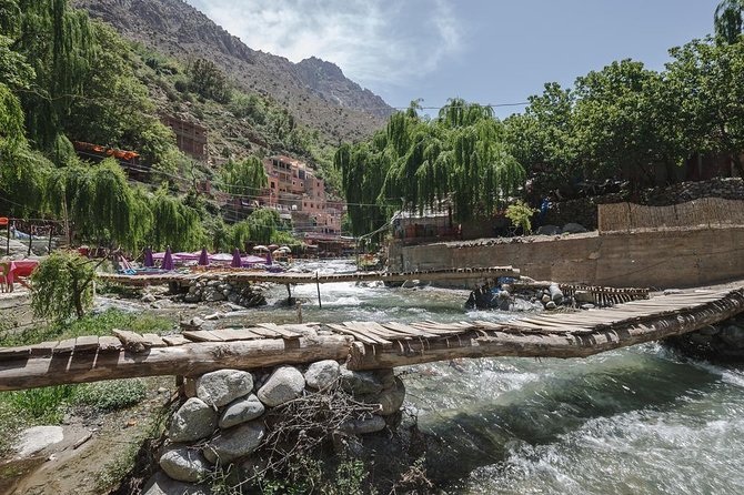 Day Excursion To Ourika Valley and High Atlas From Marrakech: Shared - Afous Argan: A Cooperative Stop That Explains More Than Souvenirs