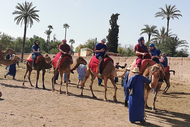 Day Excursion To Ourika Valley and High Atlas From Marrakech: Shared - Setti-Fatma: Village Time, Lunch by the River, and the Waterfalls Walk
