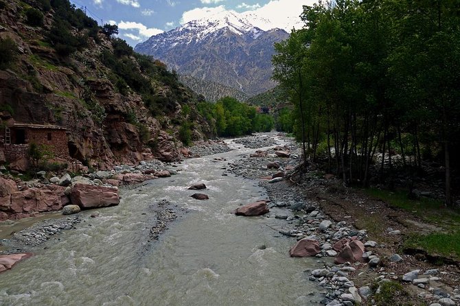 Day Excursion To Ourika Valley and High Atlas From Marrakech: Shared - What You Actually Pay: The Value Math for $18.61