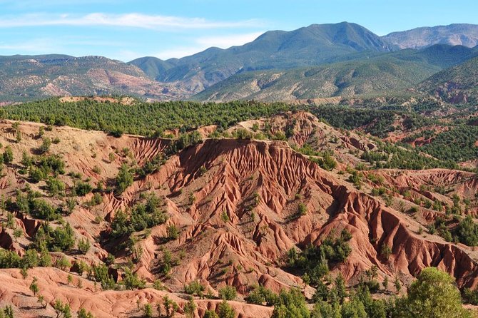 Day Excursion To Ourika Valley and High Atlas From Marrakech: Shared - Tips to Have an Easier Day (Even If the Heat Shows Up)