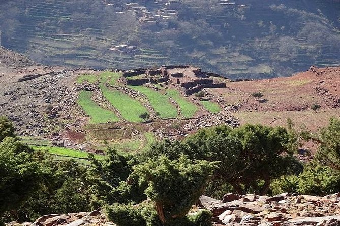 Day Hiking To Tawdja Summit in the Atlas Mountain - Marrakech Pickup, the Drive to Imlil, and the Welcome Moment