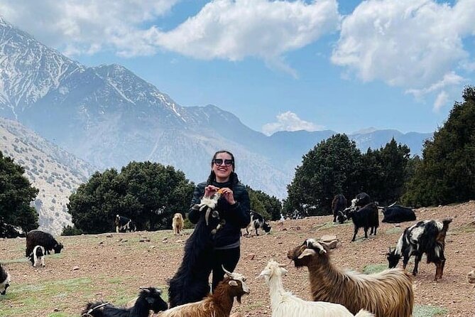 Day Hiking To Tawdja Summit in the Atlas Mountain - Value for Money: What $81.30 Really Buys You