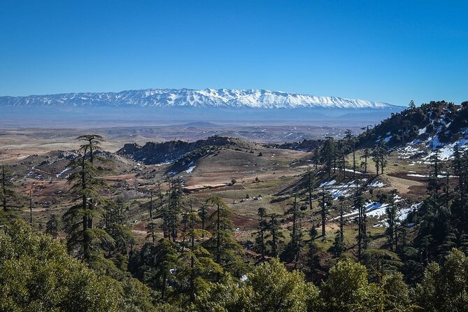 Day Tour From Fes to Middle Atlas (Imouzzer, Ifrane, and Azrou) - Middle Atlas Day Tour: The Big Wins in 7 Hours