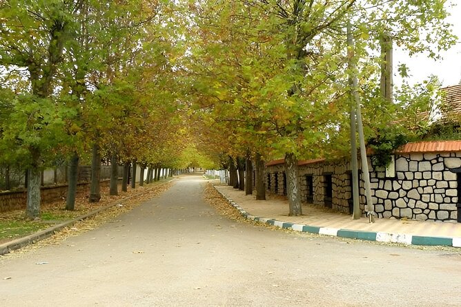 Day Tour From Fes to Middle Atlas (Imouzzer, Ifrane, and Azrou) - What You’ll Actually Do: Stop by Stop