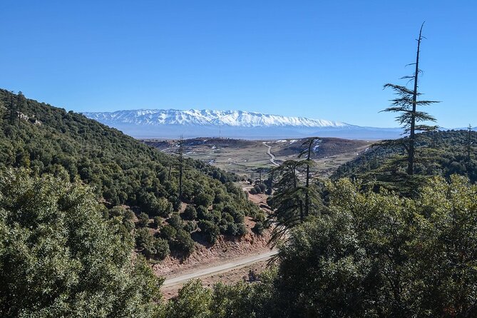 Day Tour From Fes to Middle Atlas (Imouzzer, Ifrane, and Azrou) - Price and Value: Why $37.30 Can Work