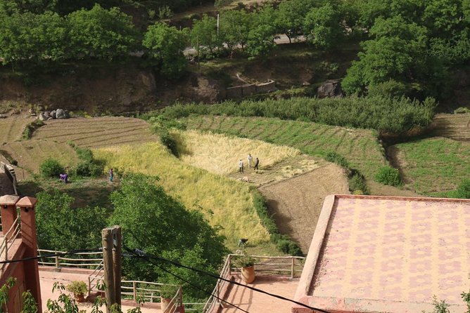 Day Tour from Marrakech to atlas mountains valleys, Camel Ride & Berber family - Pickup, timing, and how an 8-hour day actually feels