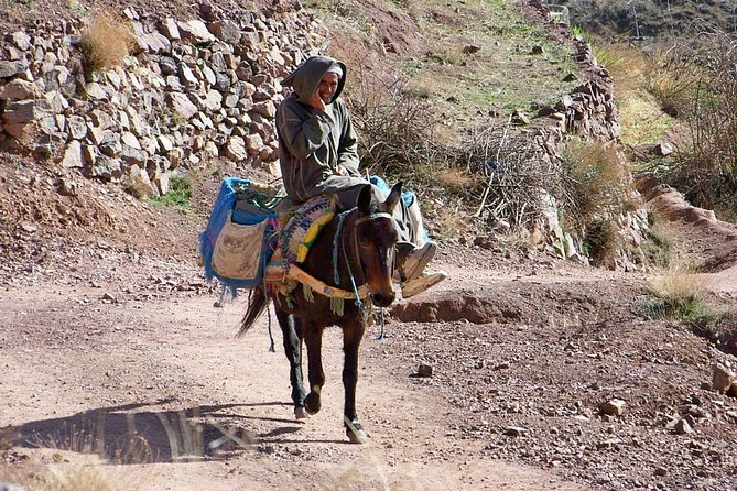 Day tour in high Atlas mountains - From Your Hotel to the High Atlas: The Drive That Sets the Tone