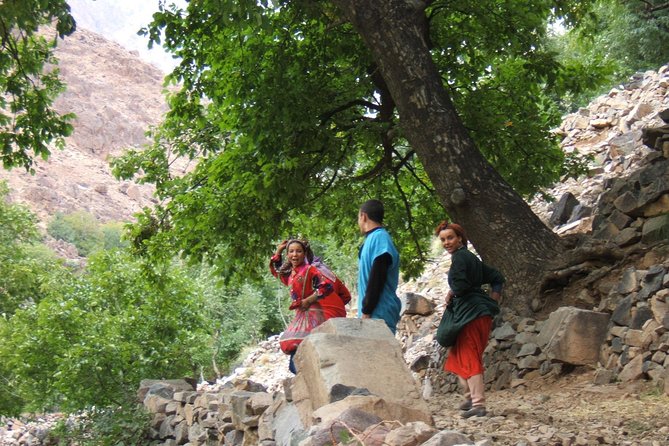 Day tour in high Atlas mountains - Lunch With a Village Feel: What You Should Expect