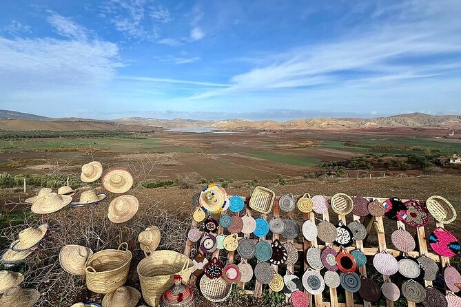 Day Tour to Volubilis & Meknes from Fes - Who Should Book This Day Trip?