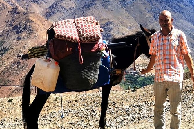 Day Trip Adventure to the Atlas: Culture, Landscapes & Home Lunch - Price and Value: What You Get for $46.46