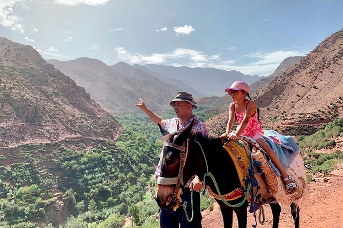 Day Trip Adventure to the Atlas: Culture, Landscapes & Home Lunch - Who This Tour Fits Best (and Who Might Want Something Else)