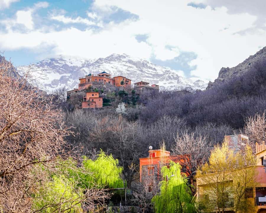 Day Trip Atlas Mountains and Berber Villages with Waterfalls - Key Highlights You’ll Care About