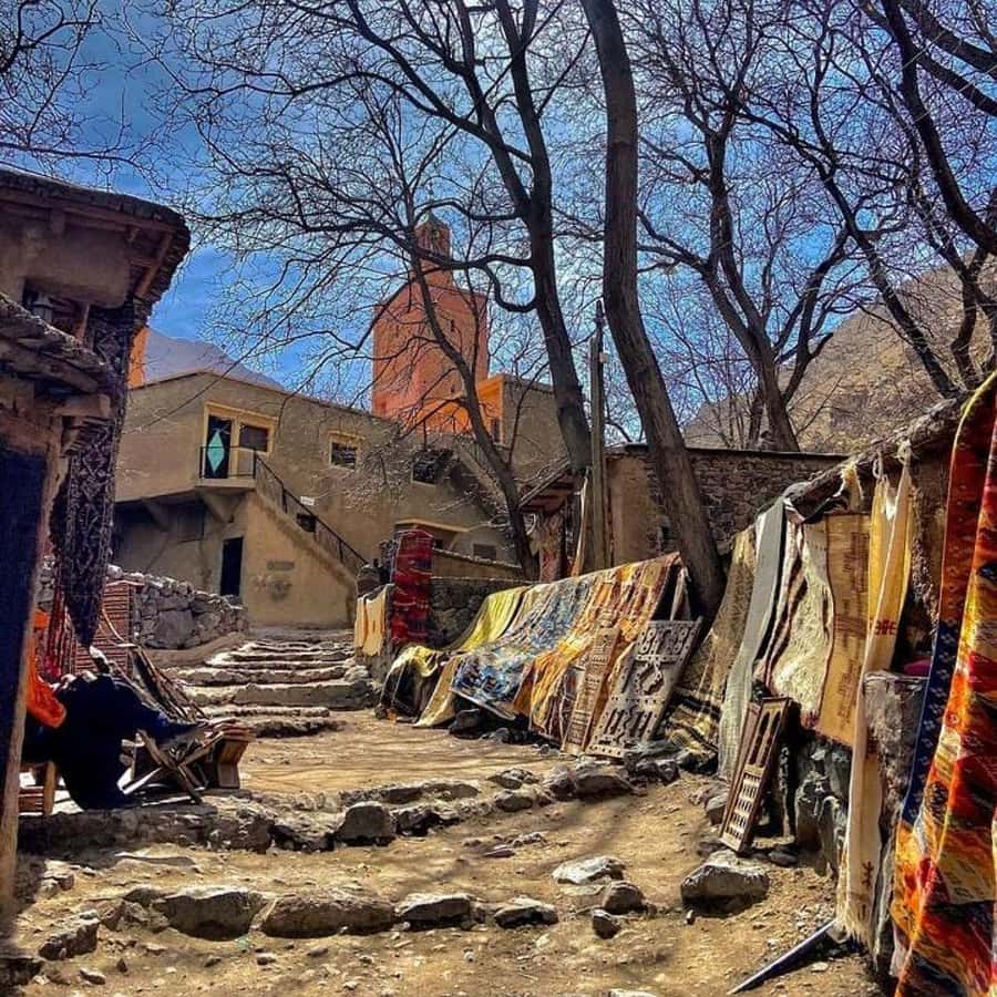 Day trip four valleys & camel ride tour with hiking - Marrakesh to the Atlas in One Easy 8-Hour Day