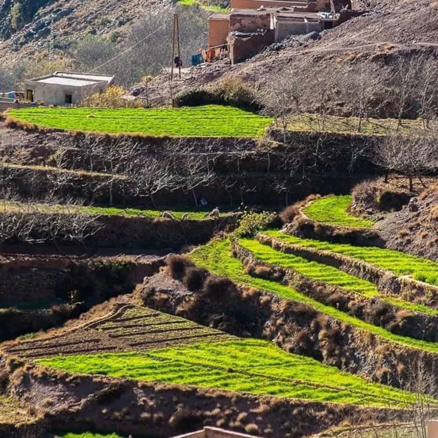 Day trip four valleys & camel ride tour with hiking - Weekly Market Timing: Saturday or Tuesday Adds Local Timing