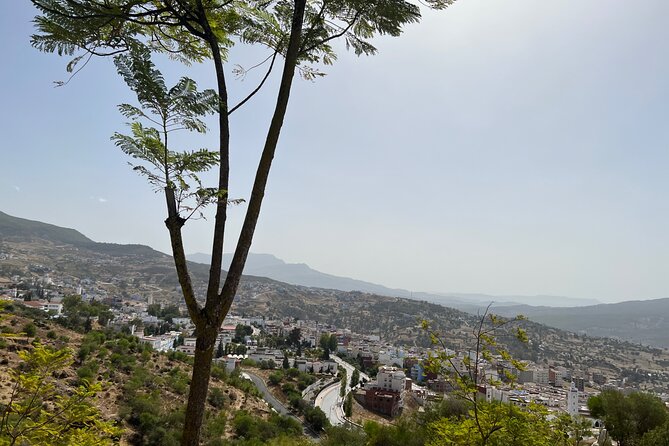 Day Trip from Casablanca to Chefchaouen With Tour Guide included - How the Guide Changes Your Chefchaouen Experience