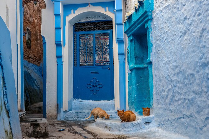 Day Trip From Fes to Chefchaouen - Meeting point reality check: Baba Boujloud and medina access