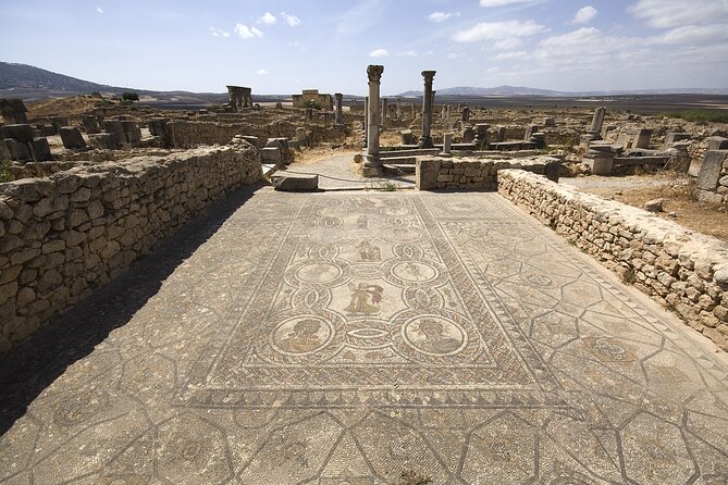Day Trip from Fes to Meknes, Volubilis, Moulay Idriss - Volubilis Roman ruins: how to use your 90 minutes wisely