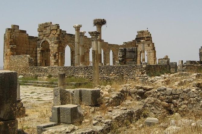 Day trip from Fes to Volubilis Moulay Idriss & Meknes - A fast route through Morocco’s north in about 6 hours