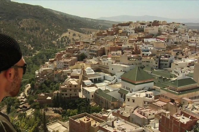 Day trip from Fes to Volubilis Moulay Idriss & Meknes - Volubilis UNESCO ruins: mosaics are the main event