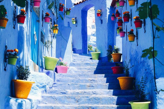 Day trip from Fez to Chefchaouen - Group Tour - From Fez to the Rif Mountains: What the Ride Really Means