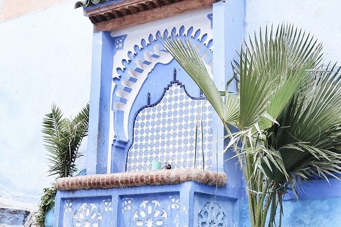 Day trip from Fez to Chefchaouen - Group Tour - Food Stops and Local Recommendations You Can Actually Use