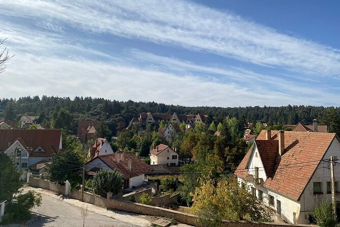 Day Trip from Fez to Middle Atlas Mountains, Cedar Forest & Azrou - Ifrane: the “Little Switzerland” first stop with real mountain cool