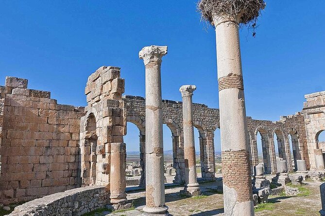 Day trip from Fez to Volubilis and Meknes - Morning Pickup from Fez and the AC-Comfort Ride to Volubilis