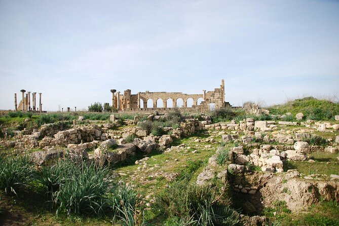 Day trip from Fez to Volubilis and Meknes - Who This Day Trip Suits Best