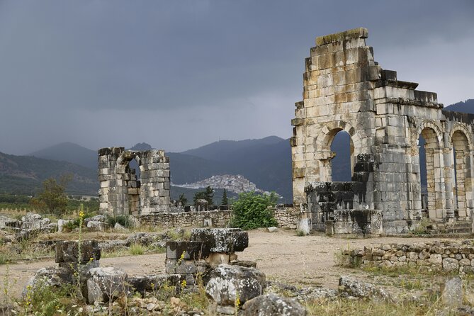 Day trip from Fez to Volubilis and Meknes - Volubilis Roman Ruins: Mosaics, Baths, and the Names You Can Spot