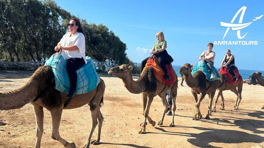 Day trip from Gibraltar to Morocco All Inclusive - Marshan Palace, Café Hafa, and the sea-view city moments