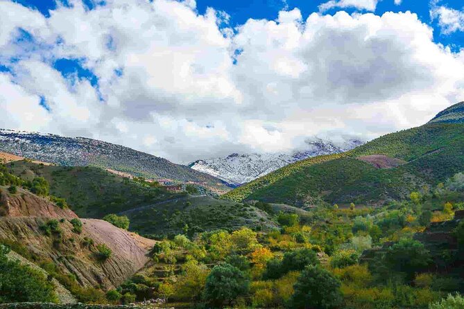 Day Trip from Marrakech Explore the Atlas Mountains and 4 Valleys - Stop 1: Ourika Valley for Berber Culture and Market Time