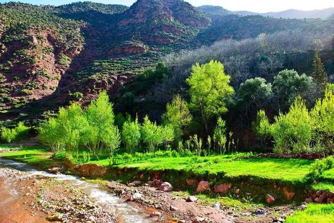 Day Trip from Marrakech Explore the Atlas Mountains and 4 Valleys - Pickup, Timing, and What 8 Hours Adds Up To