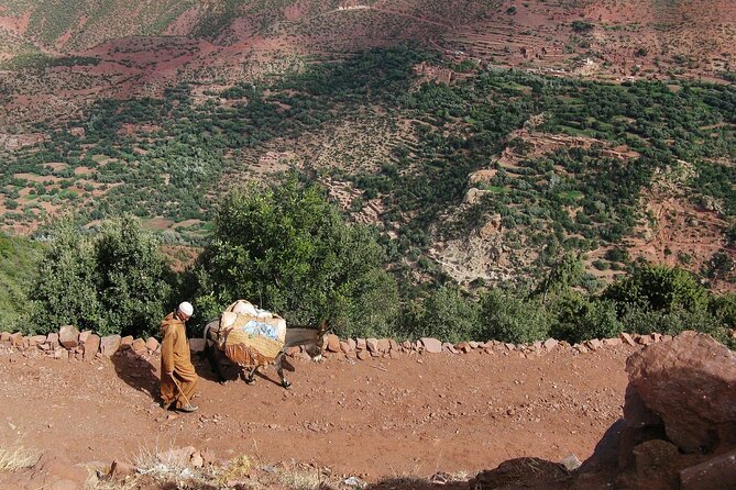 Day trip from Marrakech to Ait Ben Haddou and Ouarzazate - Price and Logistics: what you’re paying for on this long haul