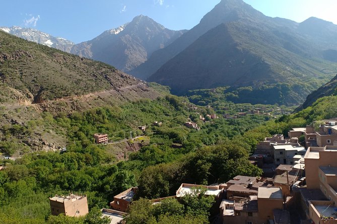 Day trip from Marrakech to atlas mountains & Berber village hike - The Argan Oil Co-operative Stop: More Than a Photo Stop