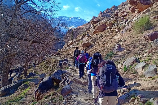 Day trip from Marrakech to atlas mountains & Berber village hike - Price and Value: What $34.99 Really Buys You