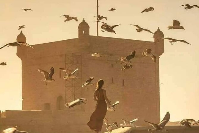 Day Trip From Marrakech To Essaouira - First Look at Essaouira: The Panoramic Moment That Helps You Orient
